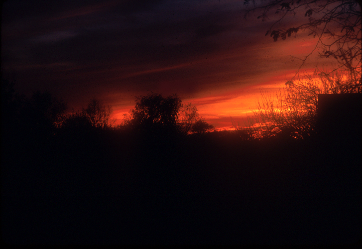 [Adelphi Sunset - Kodachrome, 1989]